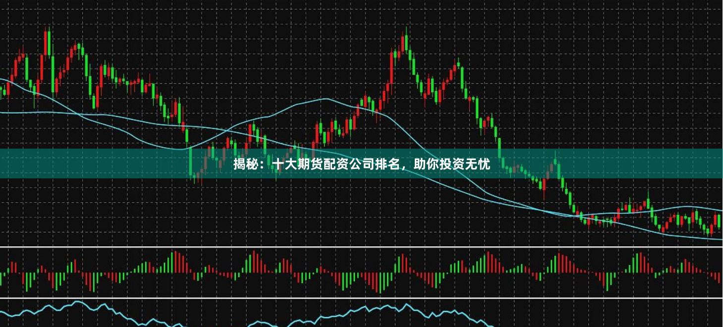 揭秘：十大期货配资公司排名，助你投资无忧