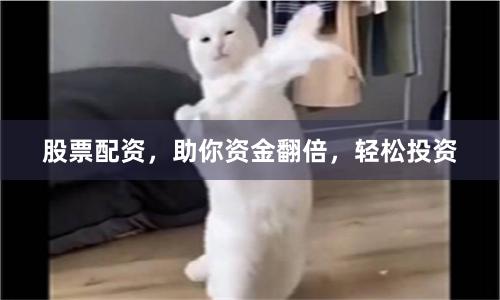 股票配资,助你资金翻倍,轻松投资