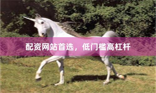 配资网站首选，低门槛高杠杆